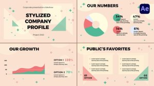 Videohive Stylized Corporate Slideshow [After Effects] Infographics template preview