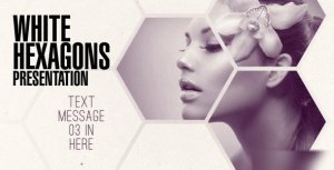 Clean White Hexagon Presentation - Videohive Video Displays template preview