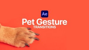 Videohive Pet Gesture Transitions for After Effects Elements template preview
