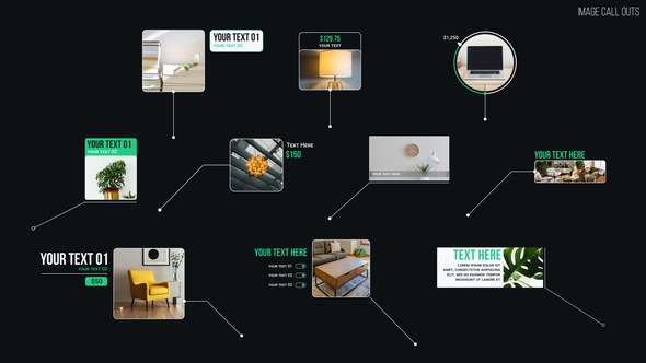 Videohive Image Call Outs Infographics template preview