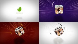 Videohive Clean Dynamic Cube Logo Reveal Logo Stings template preview