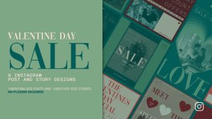 Videohive Valentine's Day Instagram Post And Story Product Promo template preview