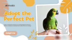Videohive Adopt Pet Promo 42800787 Openers template preview