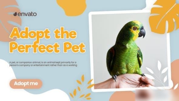 Videohive Adopt Pet Promo 42800787 Openers template preview