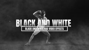 Videohive Black And White Fog Video Effects Elements template preview