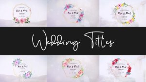 Videohive Wedding Titles 57172657 Openers template preview