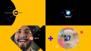 Videohive Logo Final Package Logo Stings template preview
