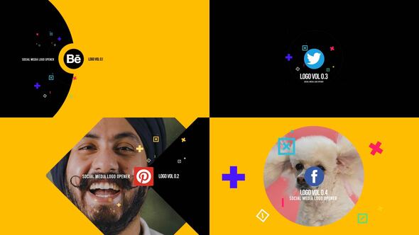 Videohive Logo Final Package Logo Stings template preview