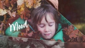 Videohive Travel Photo Slideshow 51983669 Openers template preview