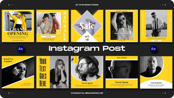 Videohive Instagram Posts v3 Elements template preview