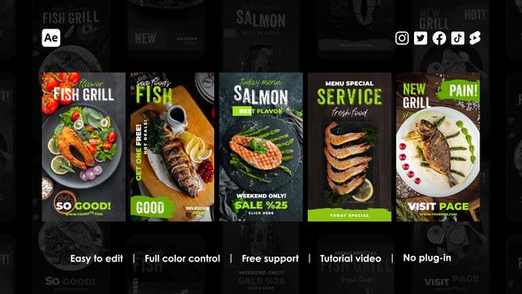Videohive Fish Instagram Stories Product Promo template preview