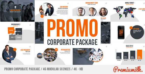 Videohive Promo Corporate Package Video Displays template preview