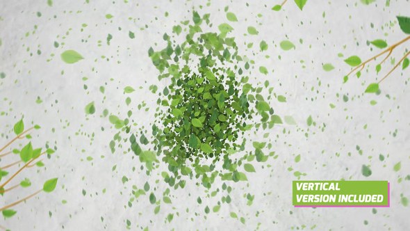 Videohive Green Eco Logo Reveal Logo Stings template preview