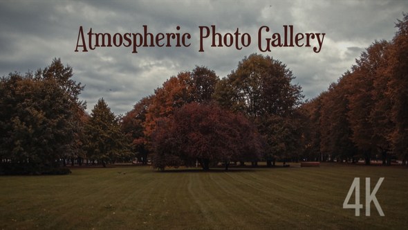 Videohive Atmospheric Photo Gallery 4K Openers template preview