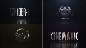 Videohive Cinematic Hero Logo 22635106 Logo Stings template preview