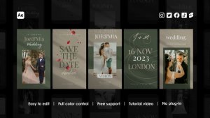 Videohive Wedding Instagram Reels 46547556 Product Promo template preview