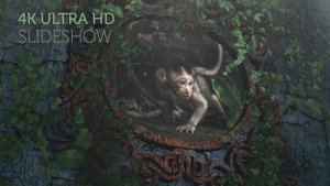 Videohive Epic Travel Slideshow (4K) Video Displays template preview