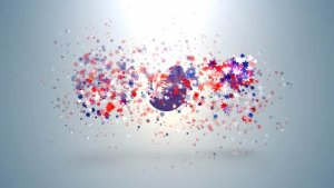 Videohive Happy Australia Day Logo Logo Stings template preview