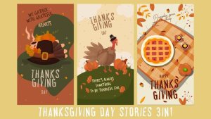 Videohive Thanksgiving Day Stories Elements template preview