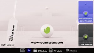 Videohive Cricket Logo Reveal 49538672 Logo Stings template preview