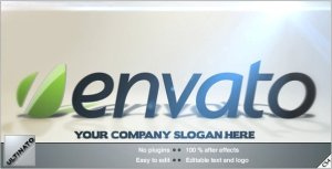 Videohive To The Point Logo Logo Stings template preview