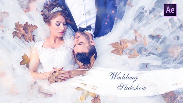Videohive Wedding Slideshow 25259629 Openers template preview