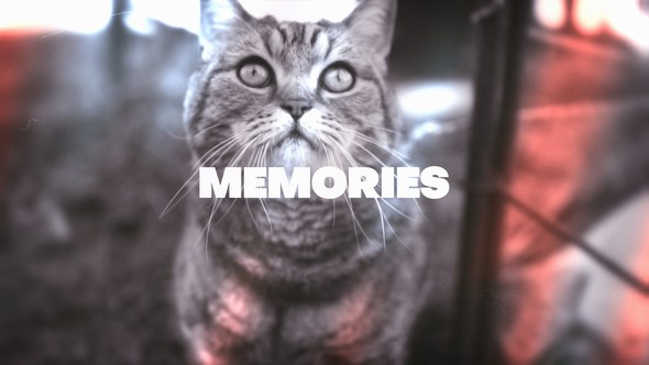 Videohive Memories Looks Elements template preview