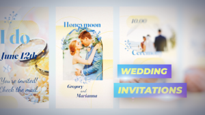 Videohive Instagram Stories Wedding Invitations Video Displays template preview