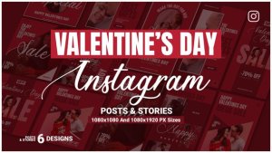 Videohive Valentine's Day Instagram Ad V107 Video Displays template preview