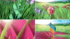 Videohive Spring/Nature Petals Blossom Flower Logo Logo Stings template preview