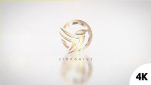 Videohive Clean Elegant Logo 2 Logo Stings template preview