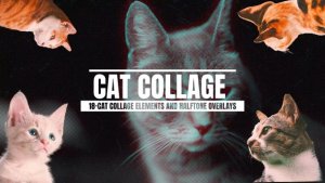 Videohive 18-Cat Collage Elements And Halftone Overlays Elements template preview