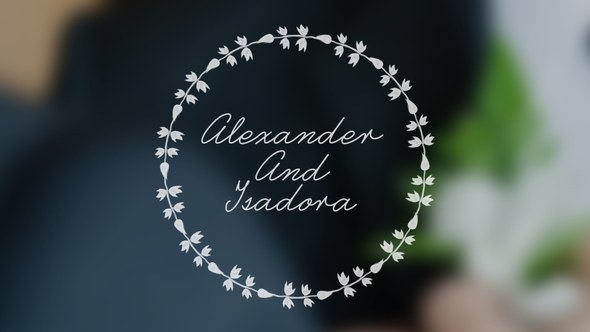 Wedding Animated Typeface Video Displays template preview