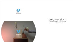 Videohive Simple 3d Logo 32175945 Logo Stings template preview