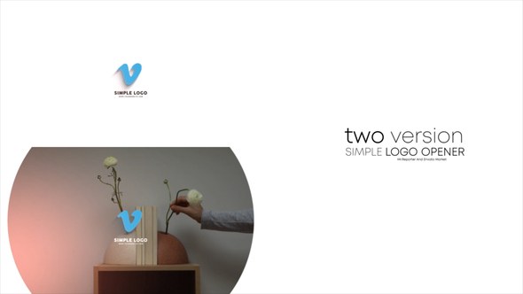 Videohive Simple 3d Logo 32175945 Logo Stings template preview