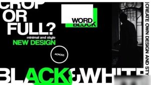 Videohive Stylish Promo for After Effects Openers template preview