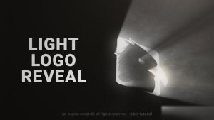 Videohive Light Logo Reveal 43941422 Logo Stings template preview