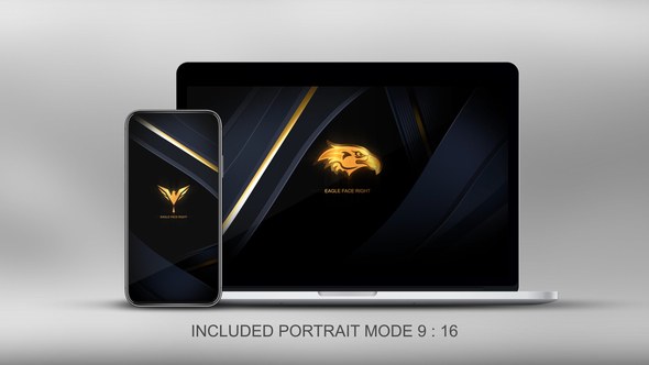 Videohive Quick Elegant Luxury Logo Logo Stings template preview
