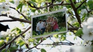VIDEOHIVE Family Photo Gallery 38276715 Video Displays template preview