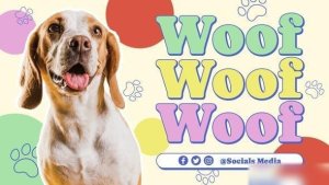 Videohive Pet Care Promo Openers template preview