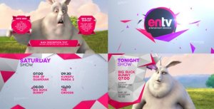 ENTV Broadcast Pack Video Displays template preview