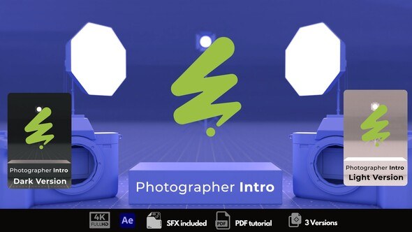 Videohive Photographer Intro 55159513 Logo Stings template preview