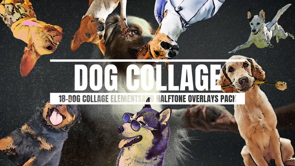 Videohive 18-dog Collage Elements And Halftone Overlays Elements template preview