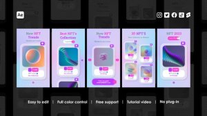 Videohive Digital Art Instagram Reels Product Promo template preview