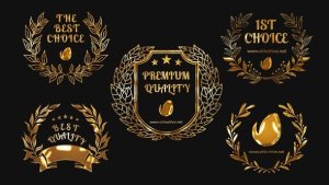Videohive 5 Golden Awards Openers template preview