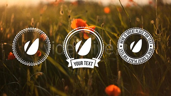 Light Vintage // Lower Thirds Pack Video Displays template preview