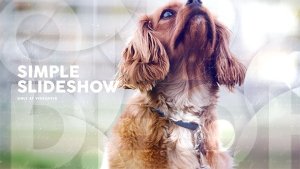 Videohive Simple Slideshow / Romantic Memories / Photo Album / Circle Transitions Video Displays template preview