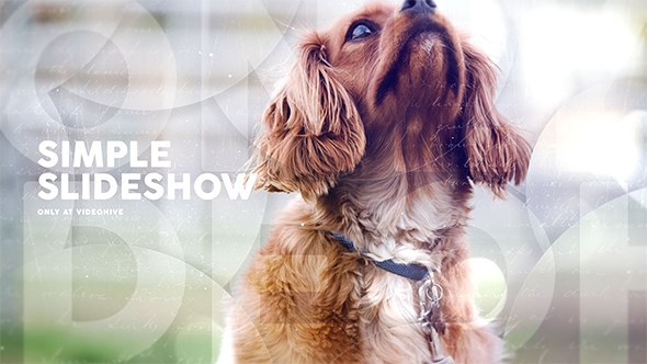 Videohive Simple Slideshow / Romantic Memories / Photo Album / Circle Transitions Video Displays template preview