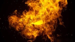 Videohive Fire Butterfly Trails Logo Openers template preview