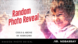 Random Photo Reveal Video Displays template preview